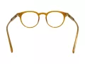 Berkeley Briller BB M144 C3