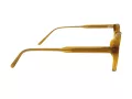 Berkeley Briller BB M144 C3