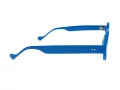 Berkeley Briller BB RD29010 C2