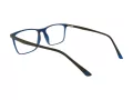 Berkeley Briller BB RS9016 C4