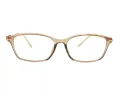 Berkeley Briller BB T5005 C4