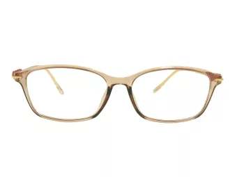 Berkeley Briller BB T5005 C4