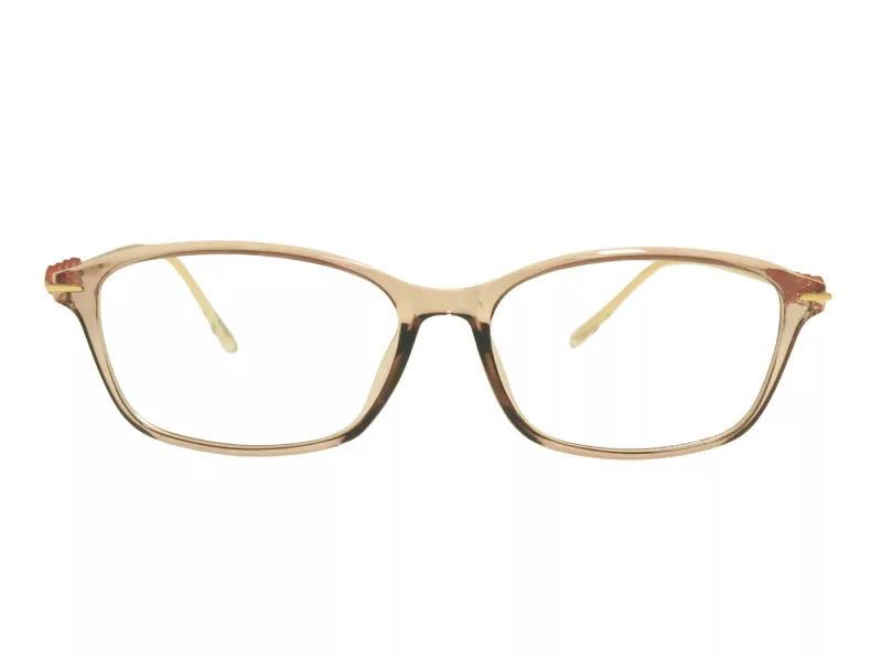 Berkeley Briller BB T5005 C4