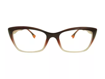 Berkeley Briller BB TR76013 C2