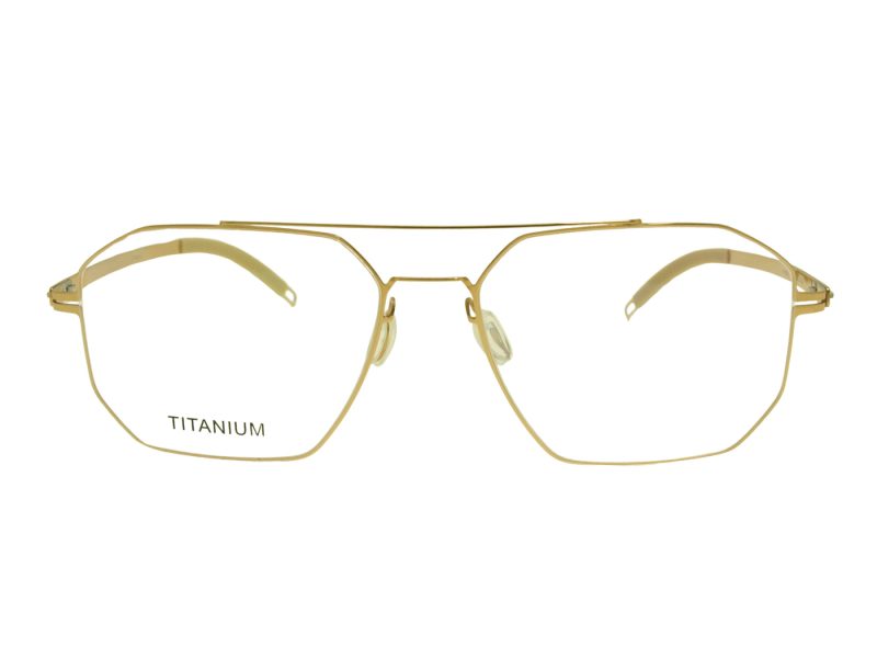 Berkeley Briller BB V-259 Gold