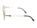 Berkeley Briller BB Y_MO28 C2