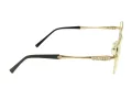 Berkeley Briller BB Y_MO35 C2