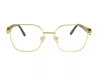 Berkeley Briller BB Y_MO46 C1