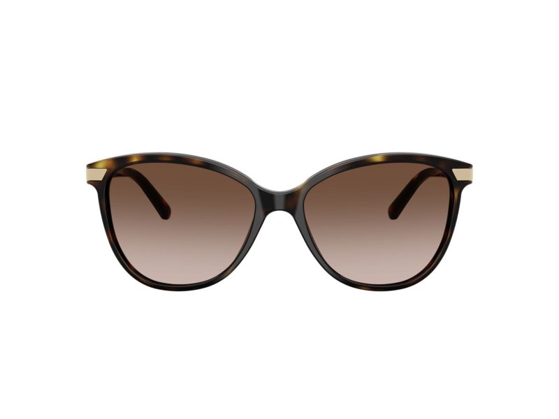 Burberry Solbriller BE 4216 300213