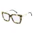 Carrera Briller CA 3101 EPZ