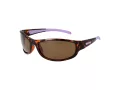 Champion Solbriller CUW 5207 C02