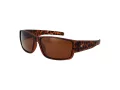 Champion Solbriller CU 5146 C03