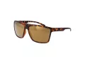 Champion Solbriller CU 5150 C03