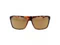 Champion Solbriller CU 5150 C03