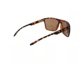 Champion Solbriller CU 5150 C03