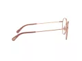 Dolce & Gabbana Briller DG 1322 1298
