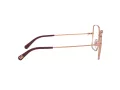 Dolce & Gabbana Briller DG 1323 1333