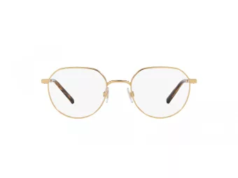 Dolce & Gabbana Briller DG 1349 02