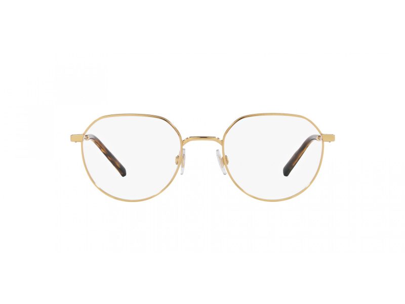Dolce & Gabbana Briller DG 1349 02