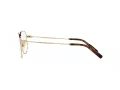 Dolce & Gabbana Briller DG 1349 02