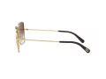 Dolce & Gabbana Solbriller DG 2242 02/13