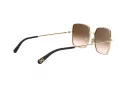Dolce & Gabbana Solbriller DG 2242 02/13