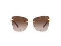 Dolce & Gabbana Solbriller DG 2289 02/13