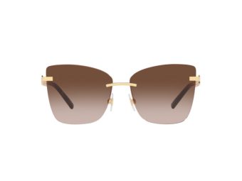 Dolce & Gabbana Solbriller DG 2289 02/13