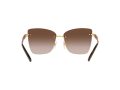 Dolce & Gabbana Solbriller DG 2289 02/13