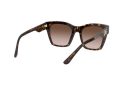 Dolce & Gabbana Solbriller DG 4384 502/13