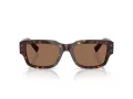 Dolce & Gabbana Solbriller DG 4483 502/73