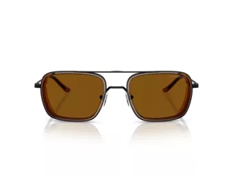 Emporio Armani Solbriller EA 2162 300163