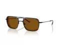 Emporio Armani Solbriller EA 2162 300163