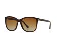 Emporio Armani Solbriller EA 4060 5026T5