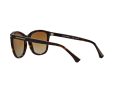 Emporio Armani Solbriller EA 4060 5026T5