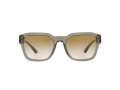 Emporio Armani Solbriller EA 4175 588413