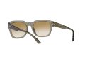 Emporio Armani Solbriller EA 4175 588413