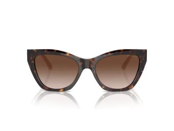Emporio Armani Solbriller EA 4176 587913