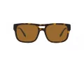 Emporio Armani Solbriller EA 4197 587983