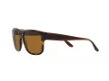 Emporio Armani Solbriller EA 4197 587983