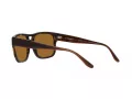 Emporio Armani Solbriller EA 4197 587983