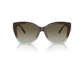 Emporio Armani Solbriller EA 0EA4198 59898E