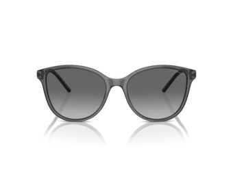 Emporio Armani Solbriller EA 4220 610611