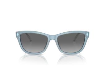 Emporio Armani Solbriller EA 4227U 609611
