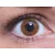 ColourVUE Basic Honey (2 linser)