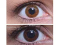 ColourVUE Basic Honey (2 linser)