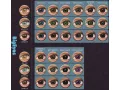 ColourVUE BigEyes Sweet Honey (2 linser)