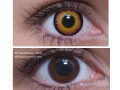 ColourVUE Crazy Orange Werewolf (2 linser) - uten dioptri