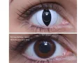 ColourVUE Crazy Viper (2 linser) - uten dioptri