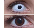 ColourVUE Crazy Whiteout (2 linser) - uten dioptri